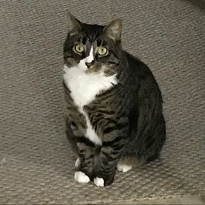 Meet your Posher, Pamela